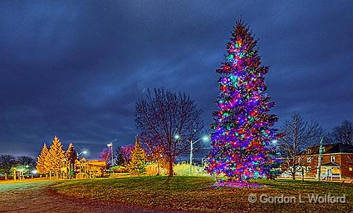 Victoria Park Christmas Tree_47574-82.jpg - Photographed at Smiths Falls, Ontario, Canada.